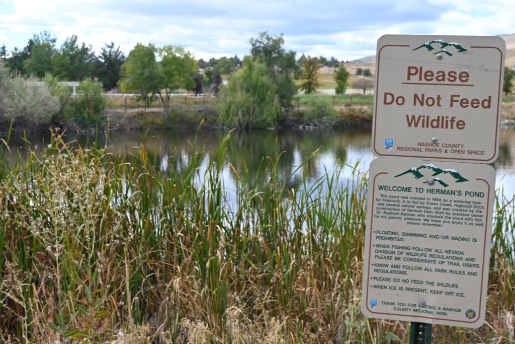 Pond with sign displaying "Don't feed the wildlife"