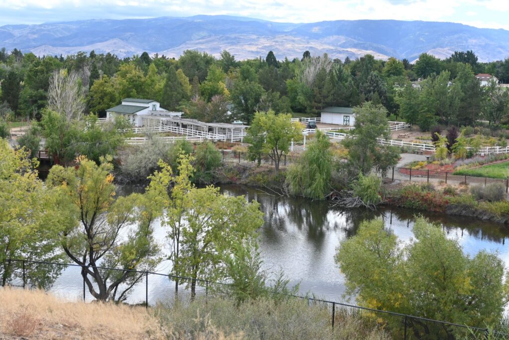 Landscape view of the park